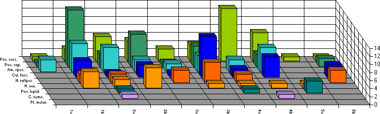 Fangzeitraum von&nbsp;6. bis&nbsp;10.&nbsp;Juli
