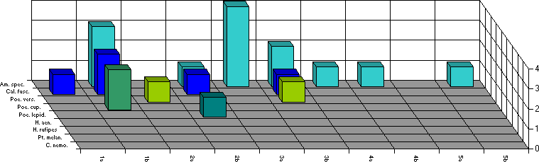 Fangzeitraum von&nbsp;10. bis 23.&nbsp;Juli
