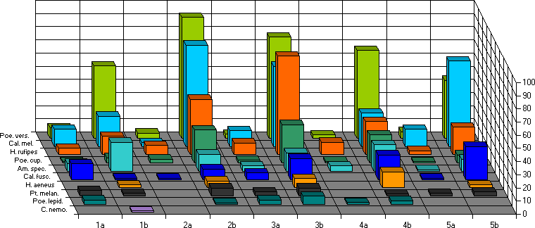 Erstfänge zwischen dem 01.08. und 21.08.
